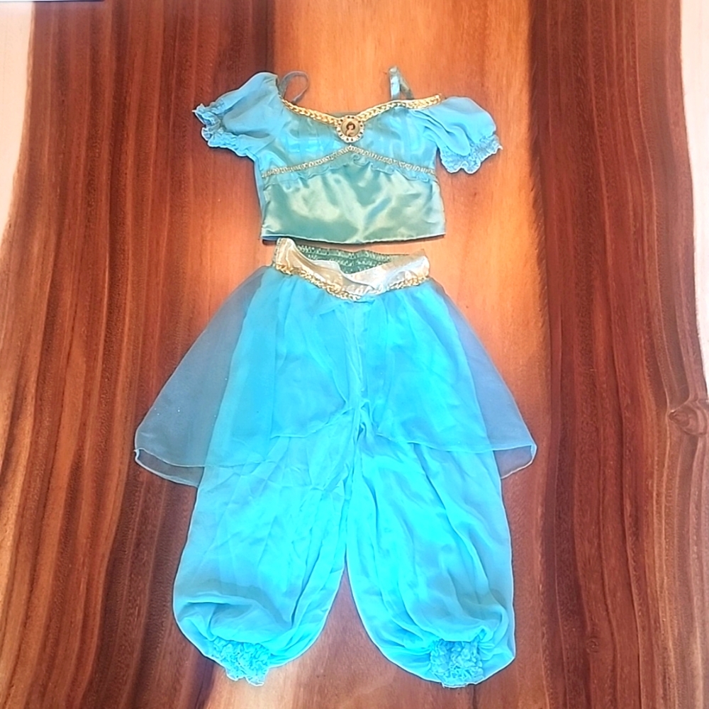 Disney Priness Jasmine Costume